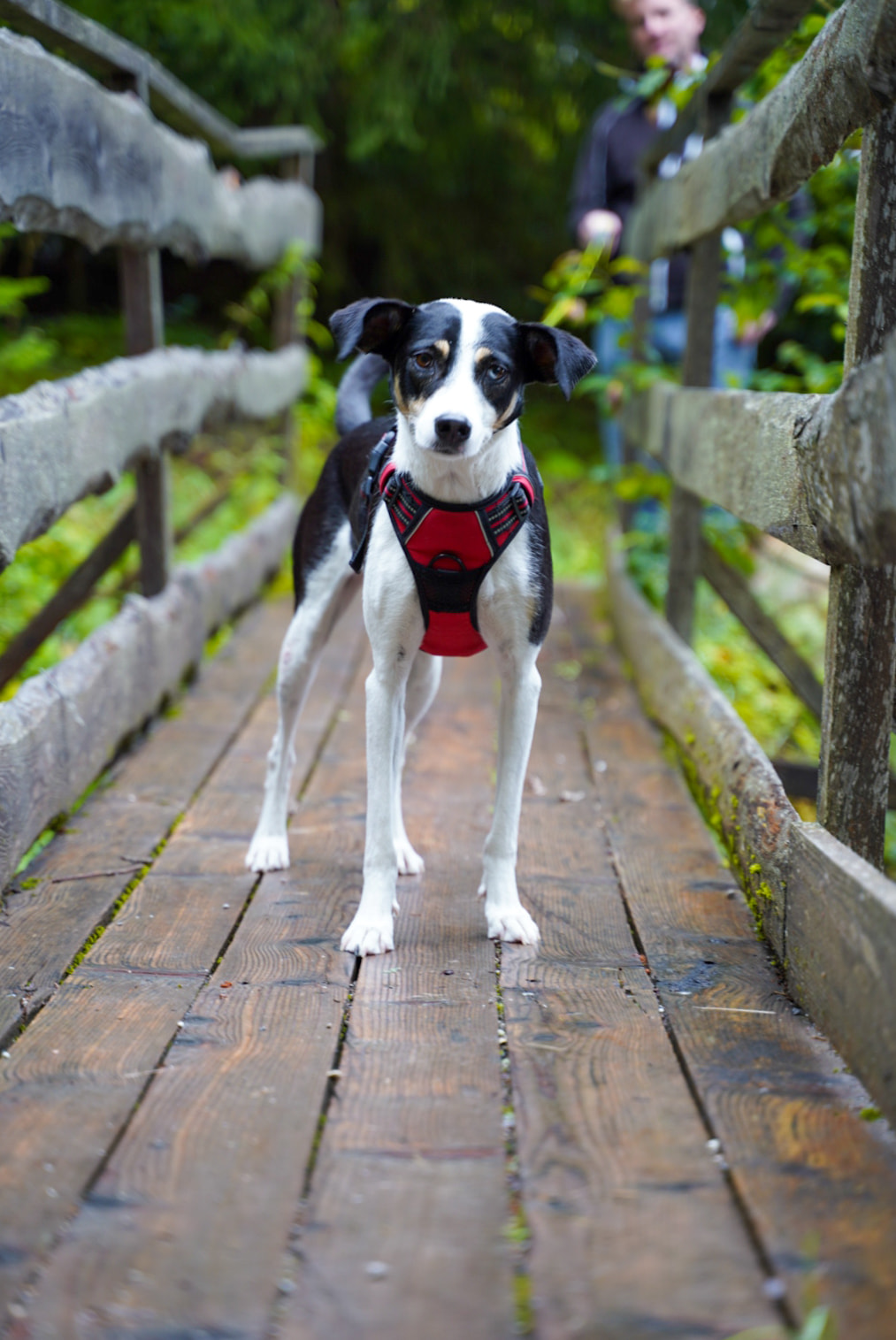 Sina, hiking